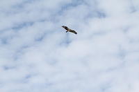 IMG_0906