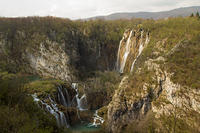 IMG_4731
