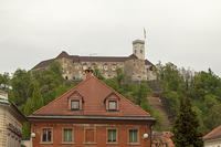 IMG_4868