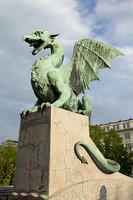 IMG_4875
